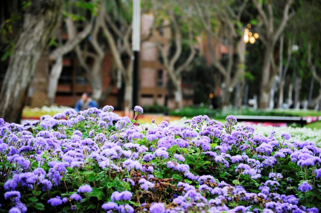 Roosevelt Hotel & Suites Lima Exterior photo